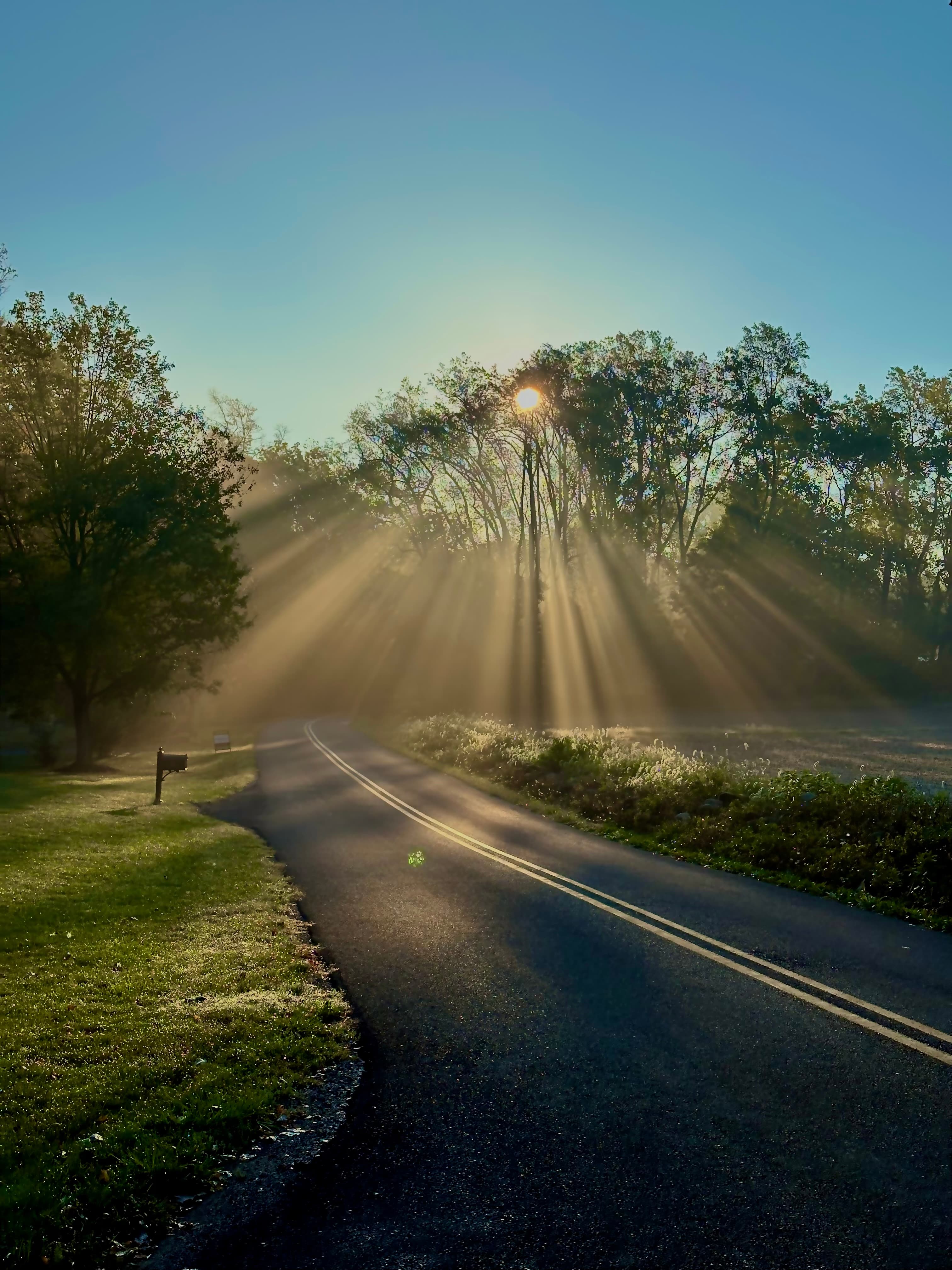 A morning walk around the block
